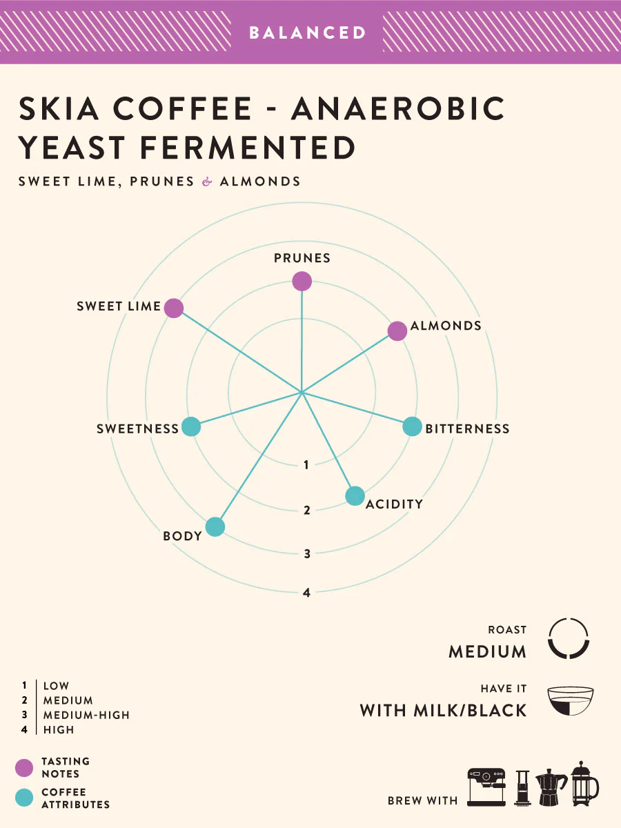 SKIA Coffee (Pack of 2) - Image 3