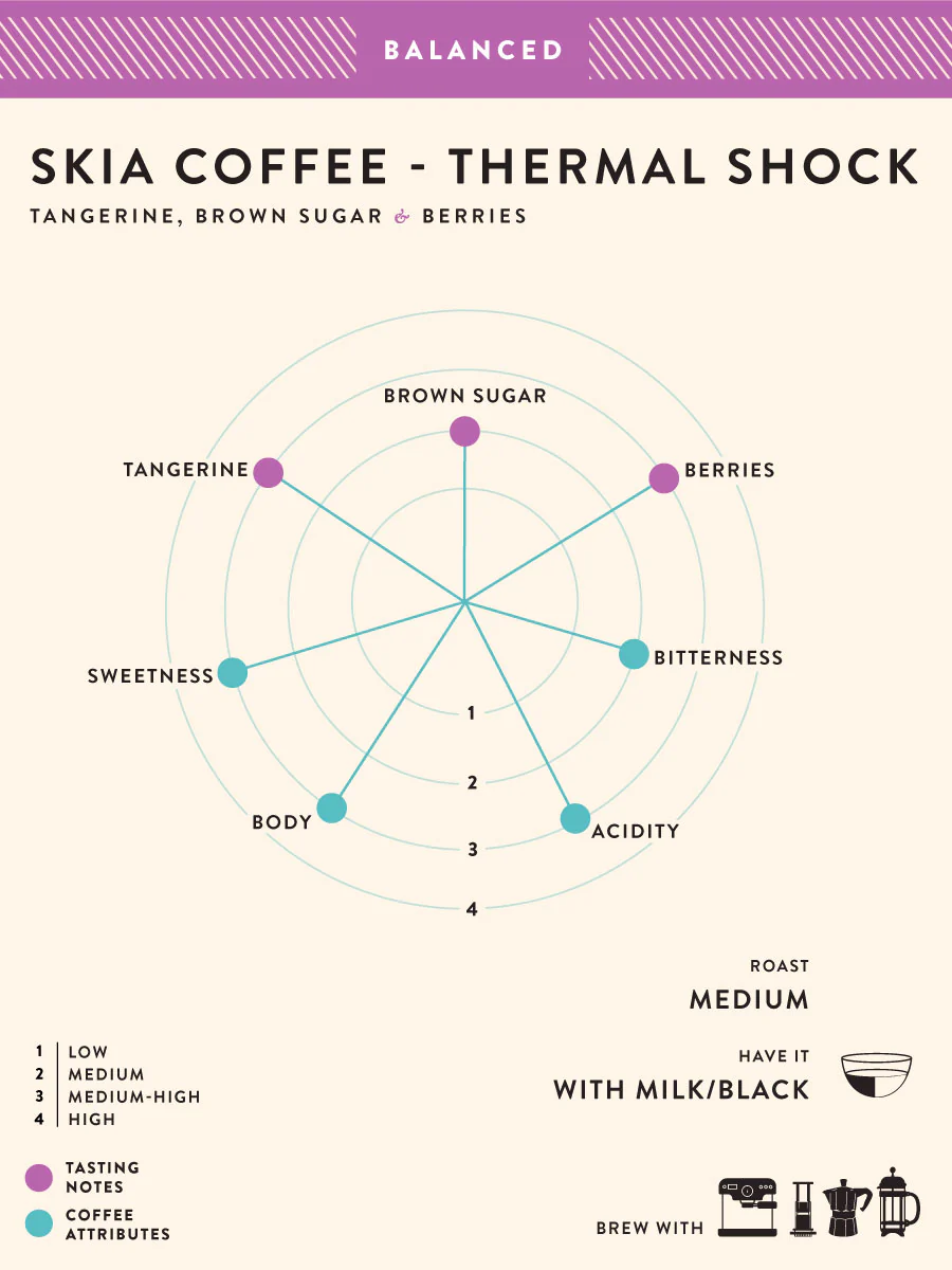 SKIA Coffee (Pack of 2) - Image 5